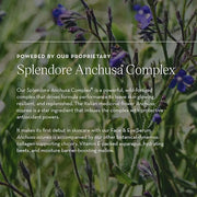 Face & Eye Serum - Dual-Use Formula to Lift, Reduce Puffiness and Even Tone, Wild-Foraged Botanicals, Vegan, Dermatologist...