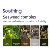 Petitfee Agave Cooling Hydrogel Eye Mask - Product Image