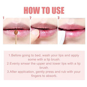 3Pcs Honey Lip Balm Honey Pot, Exfoliator,