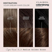 Clairol ColorStrong Permanent Zero Ammonia Hair Dye, 5.3 Medium Golden Brown - Cape Town Hair Color, Pack of 1 - Product I...