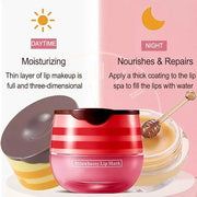 Bee Lip Balm Honey Pot, 2 Exfoliator