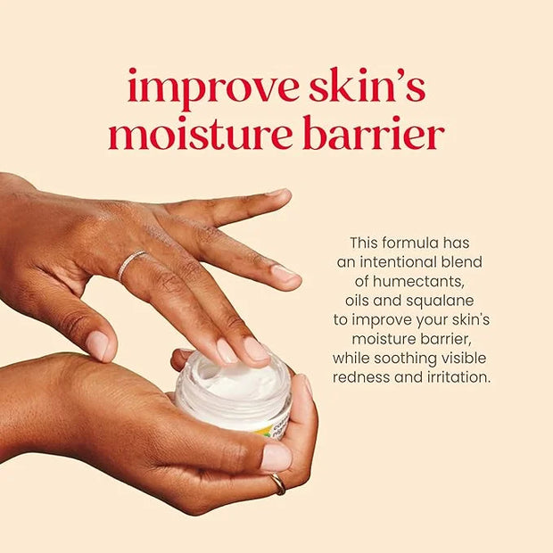 Burt's Bees Calming Night Cream, With Aloe and Rice Milk, Face Moisturizer For Sensitive Skin Infuses Skin With Moisture W...