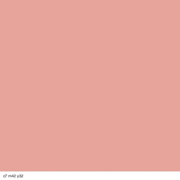 COVERGIRL Cheekers Powder Blush, Brick Rose, 0.12 Ounce (Pack of 2) - Product Image