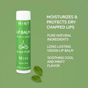 ALIDA PURE Mint Lip Balm Collection, Lips,