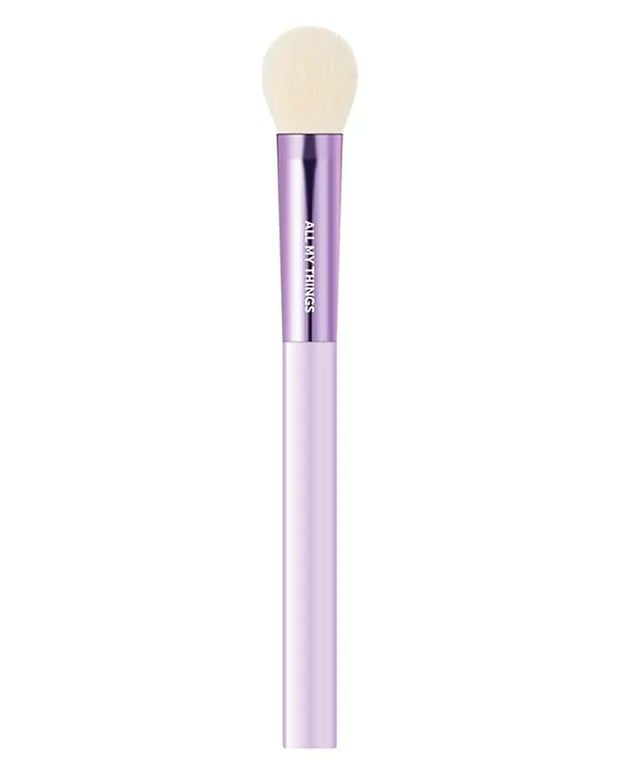 AMTS Face Blush Brush for Professional Quality Precision Makeup Application - Product Image
