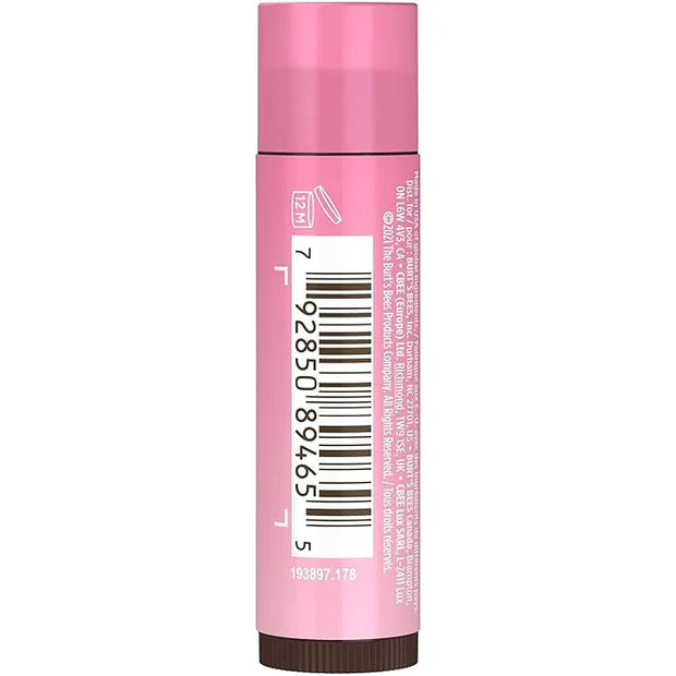 Burt's Bees Lip Tint Balm