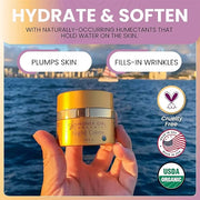 Honey Girl Organics Night Creme, 1.75 Fluid Ounce - Product Image