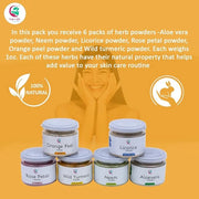 Ayurvedic Skin Care Sampler | Six Powders in One Pack | Aloe vera Powder, Rose Powder, Wild Turmeric Powder, Licorice Powd...