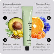 Vitamin C Face Moisturizer Cream for Men and Women - Brightening & Hydrating | Anti-Aging Day & Night Cream with Ceramides...