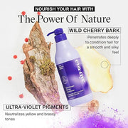 Eva NYC Tone It Down Purple Conditioner for Blonde & Color-Treated Hair, Eliminates Brassy Yellow Tones, Hair Moisturizer,...