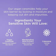 Pacifica Vegan Ceramide Barrier Eye Cream – Hydrating Under Eye Moisturizer for Dry, Sensitive Skin, Fragrance-Free Treatm...