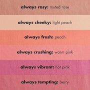 e.l.f. Primer-Infused Matte Blush, Long-Lasting, Lightweight & Buildable Powder Blush, Delivers A Matte Finish, Vegan & Cr...