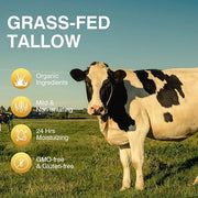Beef Tallow, Beef Tallow for Skin, Beef Tallow Moisturizer, Beef Tallow Balm for Face Moisturizer Grass Fed for All Purpos...
