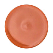 BURTS BEES Salted Carmel Lip Balm, 1 EA - Product Image