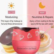 3 Pcs Bee Lip Balm Honey Lines