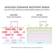 Glow Recipe Avocado Ceramide Serum, Travel Size - Soothing, Hydrating Face Serum for Women & Men, Redness Relief & Skin Ba...