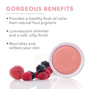100% PURE Powder Blush (Fruit Pigmented), Mimosa, Soft Shimmery Finish, Nourishes Skin w/Rosehip Oil, Cocoa Butter, Natura...