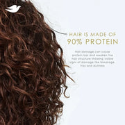 Dove Conditioner Argan Oil & Repair for Fine Hair with Bio-Protein Care Technology and Argan Oil Blend 12 Fl Oz - Product ...