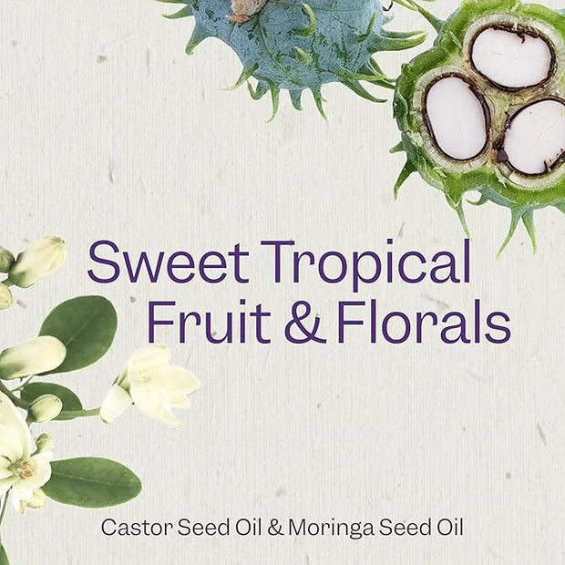 Renpure Castor Oil & Moringa Shampoo, Plant-Based - Curl Enhancing - For Moisturized, Manageable & Smooth Curls - With Cas...