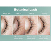 Contours Rx Botanical Lash & Brow Enhancing Serum – Organic, Drug-Free Growth Formula with Peptides & Botanicals – Strengt...