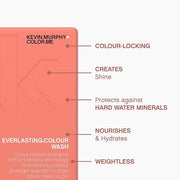 KEVIN.MURPHY EVERLASTING.COLOUR WASH - Hair Colour Shampoo - Colour Protect Hair Care - pH Balanced Shampoo - Sulphate Fre...