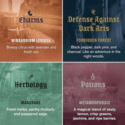 Every Man Jack Harry Potter Collectors Body Wash Gift Set - Includes 4 Body Washes with Clean Ingredients & Hogwarts Inspi...