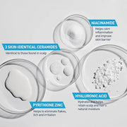 CeraVe 2 In 1 Hydrating Anti Dandruff Shampoo And Conditioner, 1% Pyrithione Zinc Dandruff Treatment, Color Safe & Sulfate...