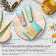 Eco Botanics Soaps & Toiletries Bulk Set | 1-Shoppe Amenities Kit for Hotels & Vacation Rentals | 0.85 oz Shampoo & Condit...