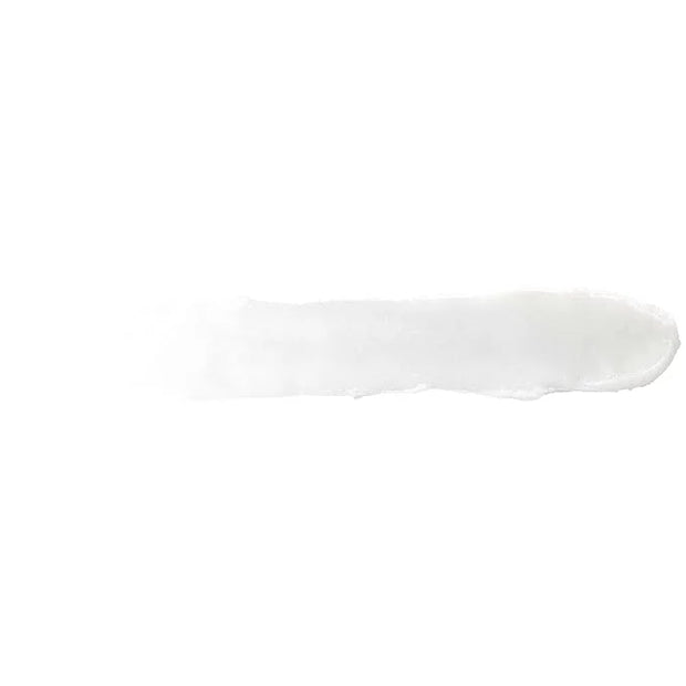 Burt's Bees Lip Balm, Moisturizing Lip