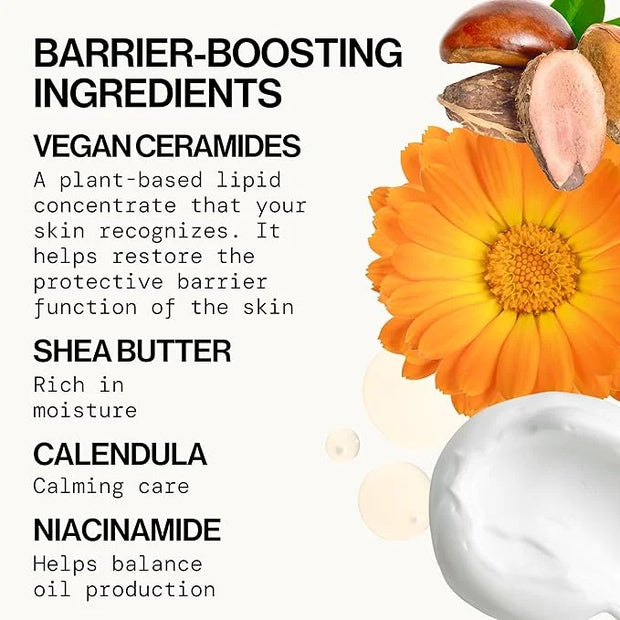 Pacifica Face Cream - Vegan Ceramide Barrier Cream w/Niacinamide & Shea Butter - Hydrating Daily Face Moisturizer Fragranc...
