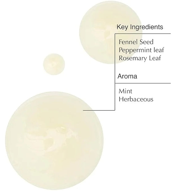 Aesop Volumizing Shampoo | Lifting Formulation for Volume and Body for Thin or Fine Hair | Botanical Oils to Soften Hair a...