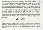 Tea Tree Therapy Vegetable Base Bar Soap, Eucalyptus, 2 count - Product Image