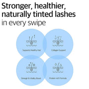 Derma Factory Peptide Eyelash Ampoule – Black Tinting Lash Growth Serum for Thin, Weak & Damaged Lashes – Volumizing Pepti...