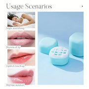 0.25 oz（7g） Empty Lip Balm Square