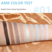 9 Colors Blue Grey Highly Pigmented Colorful Eyeshadow Palette,Matte Shimmer Navy Blue Sky Blue Grey Eye Shadow Makeup Pal...
