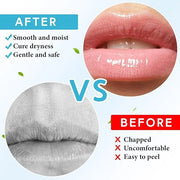 4 Pcs Lip Balm with Gift Lips