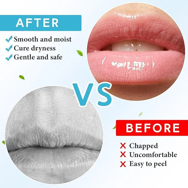 4 Pcs Lip Balm with Gift Lips
