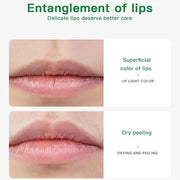 Avocado Lip Balm Vitamin E Conditioning