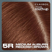 Clairol Root Touch-Up by Nice'n Easy Permanent Hair Dye, 5R Medium Auburn/Reddish Brown Hair Color, Pack of 1 - Product Image