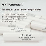 All Day Essential Tinted Lip Balm Lips