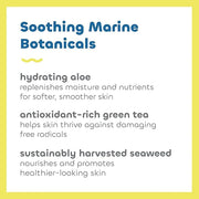 Seaweed Bath Co. Sheer Protect Daily SPF 30 Broad Spectrum Hybrid Sunscreen Cream, 3.4 Ounce, Sustainably Harvested Seawee...