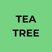 Soapbox Tea Tree Shampoo and Conditioner Set, Scalp Balancing with Tea Tree Oil, Jojoba Oil, Aloe and Shea Butter to Clean...