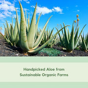 Aloe Vera After Sun Gel by Florida Glow - Organic Aloe Vera Gel for Sunburn Relief - 98% Pure Aloe Vera Moisturizer for Fa...