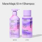 EVA·NYC Mane Magic 10-in-1 Shampoo OG 8.8 Fl Oz (Pack of 1) - Product Image
