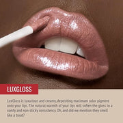 Runway Rogue LuxGloss Kit with 2 Moisturizing Shimmer Lip Gloss Tubes (‘Strike a Pose’ and ‘Fashion Week’) and 1 Matte Lip...