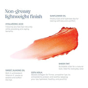 Tinted Lip Balm. Moisturizing Sheer, Buildable