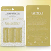 Lip Balm Set of 3, Made Natural