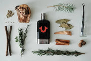 True Religion Men 3-Piece Gift Set - Men's Cologne - 3.4 fl oz EDT,3 oz ml Shower Gel, 3 oz Aftershave Balm - citrus, wood...