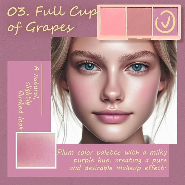 3 Color Matte Pink Blush Palette with Brush, Long Lasting Cheek Makeup, Light and Smooth Blush Powder for Face Beauty - Pr...