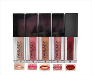 5pcs lip gloss combination set, 4pcs Shiny Lip gloss +1pcs lipstick matte long lasting 24 hours, Lip makeup Gift set - Pro...